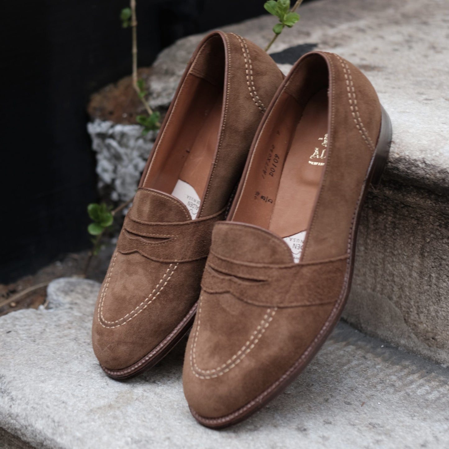A pair of Alden Madisons D0109 Full Strap Loafers in snuff suede with stitching details rest on stone steps. Crafted on the Aberdeen Last, these elegant shoes are complemented by small green plants in the background, adding a natural touch.