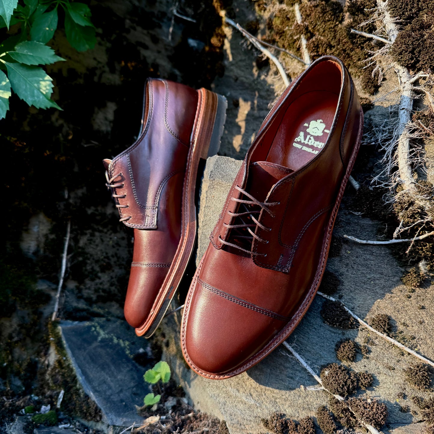 A pair of ALDEN SHOES 22531C - Brown Calf DeRosa Cap Toe dress shoes with laces are set outdoors on mossy stone, sunlight enhancing their polished finish and robust commando sole.