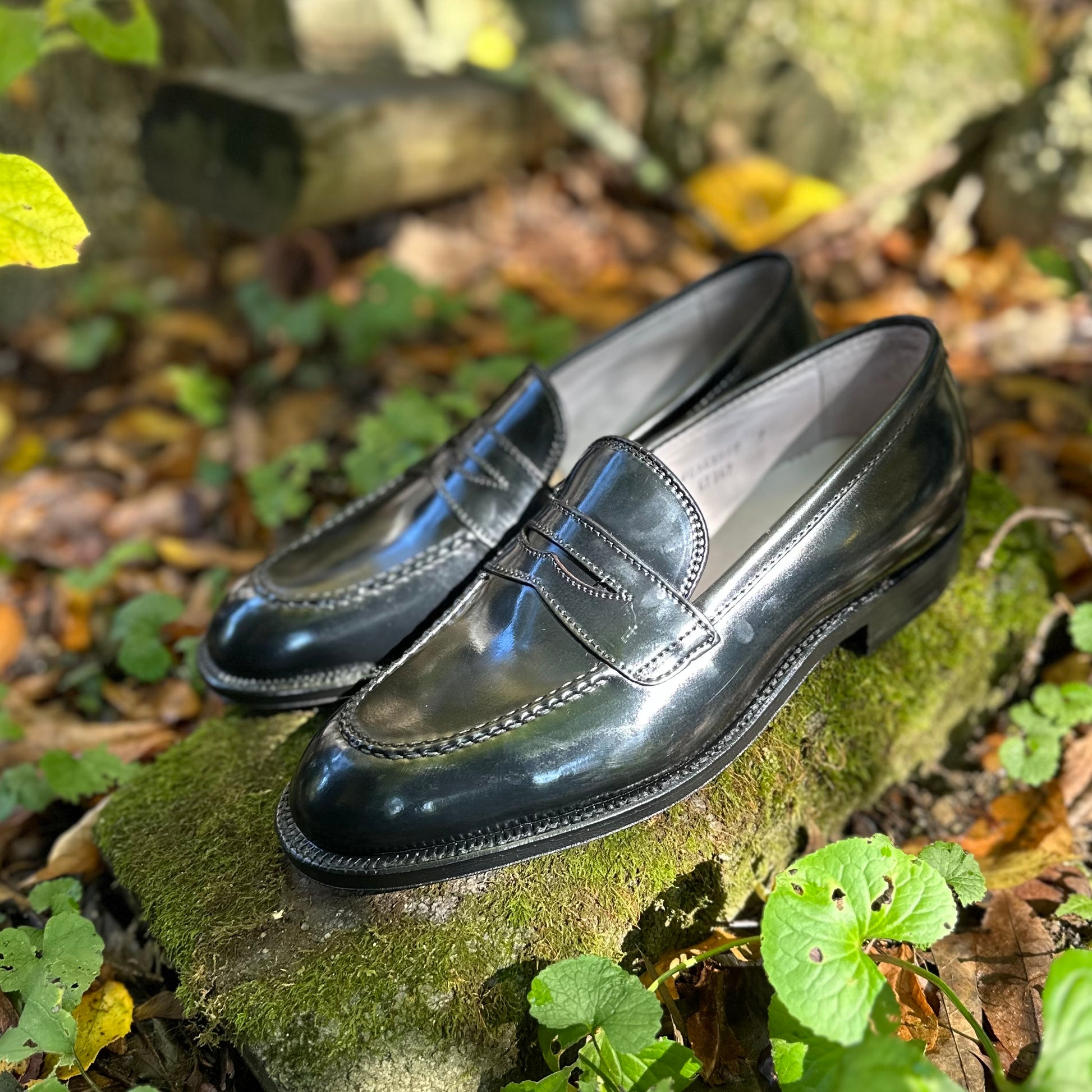 A pair of Alden Madison 67269 High Vamp Loafers in Black Shell Cordovan sits on a mossy stone outdoors, surrounded by fallen leaves and greenery in natural sunlight.