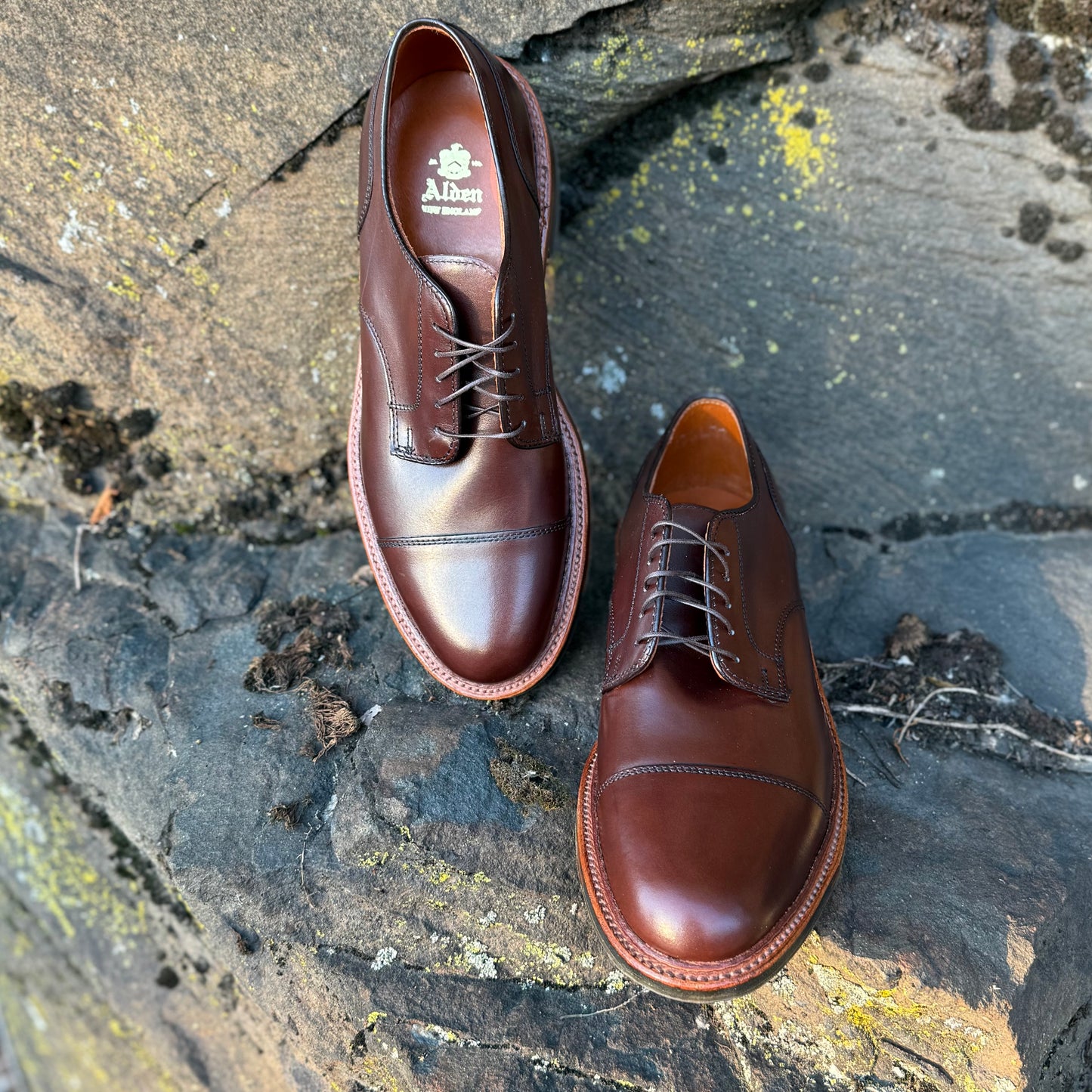 A pair of ALDEN SHOES 22531C - Brown Calf DeRosa Cap Toe dress shoes with a Commando Sole are displayed outdoors on textured, lichen-covered rocks.