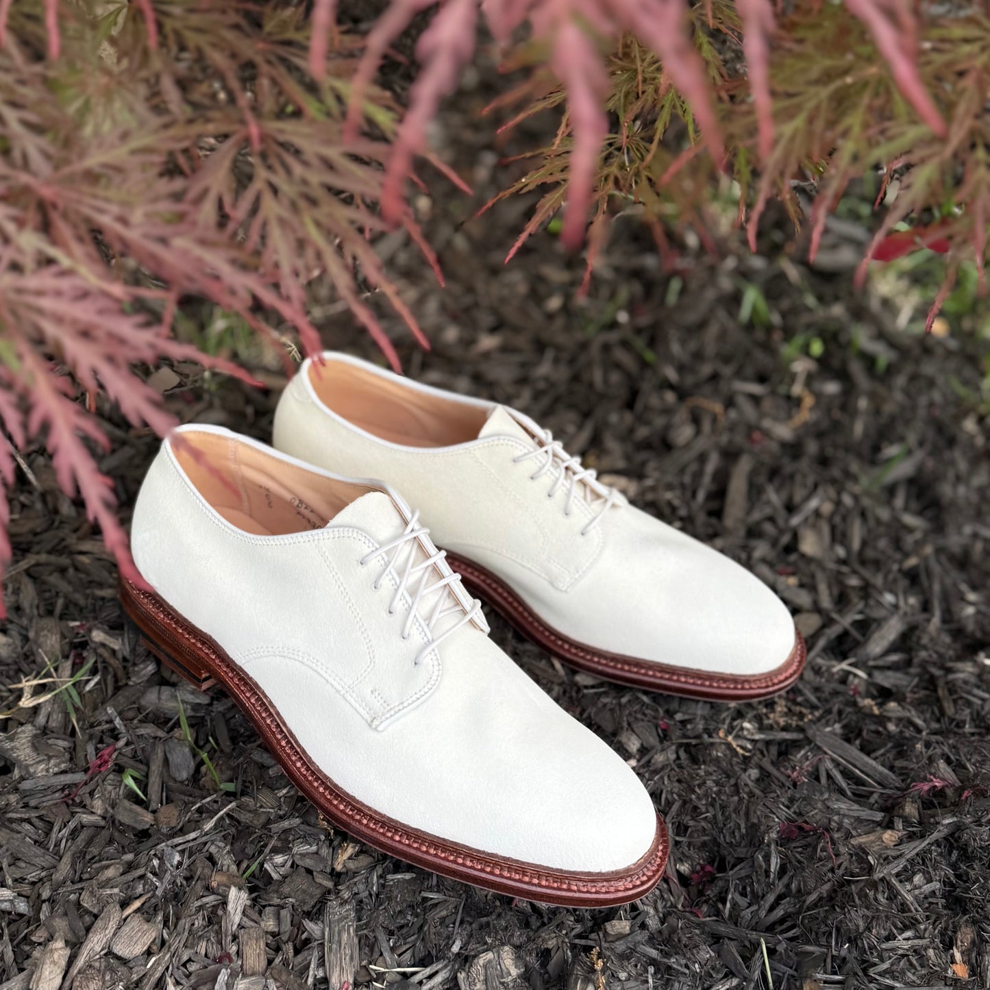 The Alden Madison 29330F - Unlined Dover in Ivory Suede, classic dress shoes with a leather sole, rest on dark mulch beneath delicate, reddish leaves.