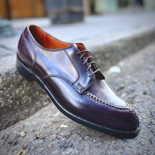 Alden Madisons 2210 Norwegian Split Toe Blucher in Color 8 Shell Cordovan rests on a concrete curb, boasting detailed stitching and a glossy finish. The blurred background draws focus to its polished craftsmanship.