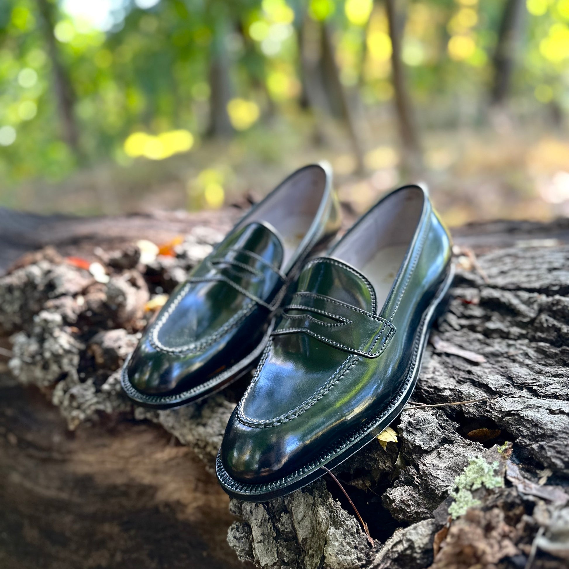 A pair of Alden Madison 67269 High Vamp Loafers in Black Shell Cordovan with single oak leather soles rest on a textured tree trunk in a sunlit forest, surrounded by blurred green foliage.