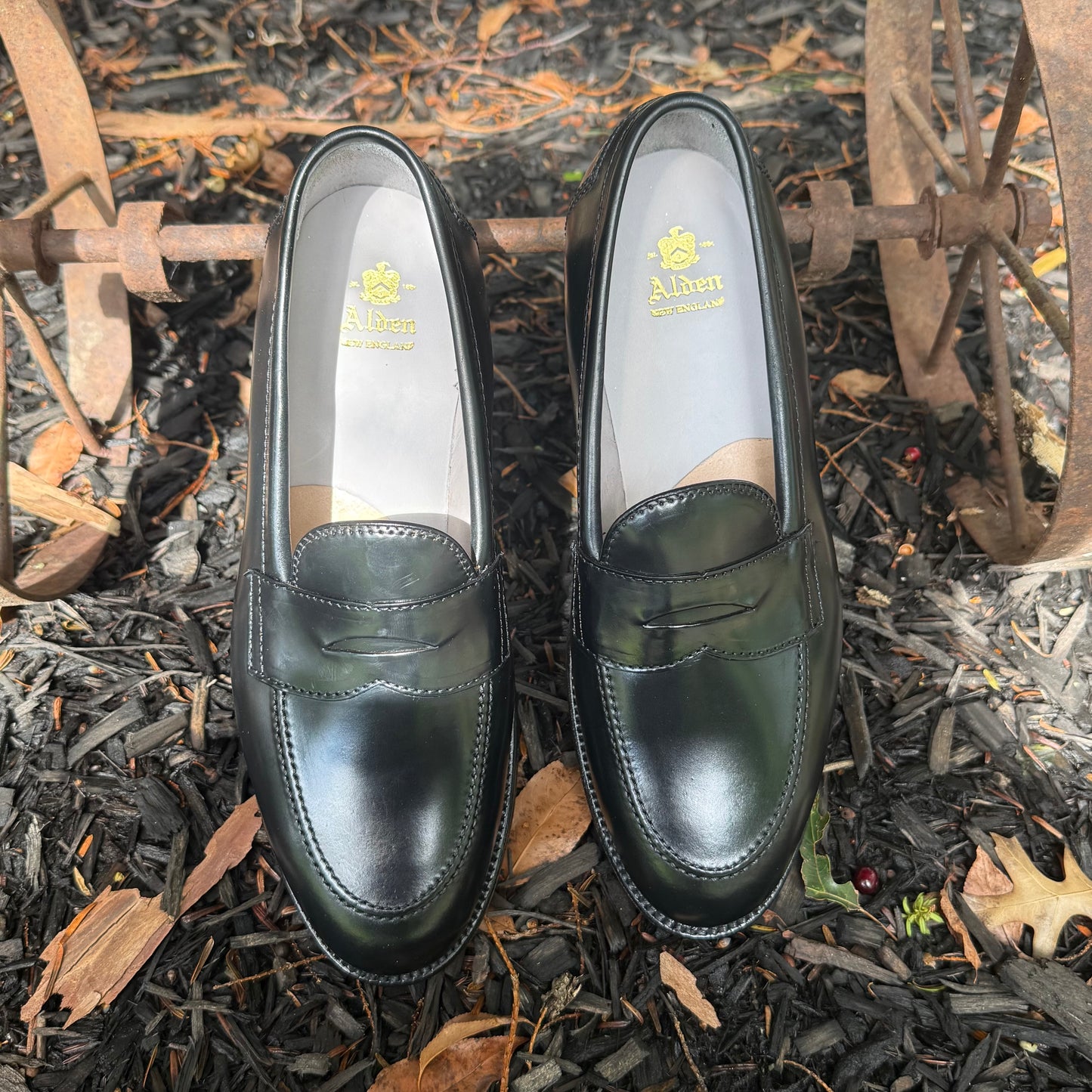 A pair of Alden Madison 96949 - Copley Penny Loafers in Black Shell Cordovan, crafted on the Copley Last with a classic leather sole and refined 270 flat welt, are positioned outdoors on dark mulch among fallen leaves, next to a rusty metal wheel.