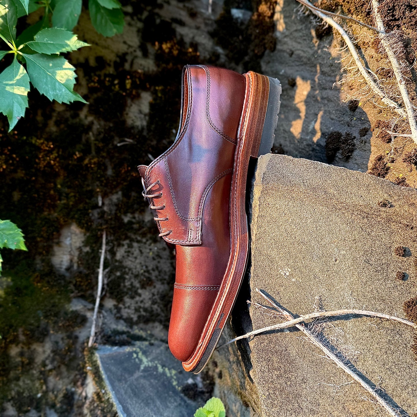 The ALDEN SHOES 22531C - Brown Calf DeRosa Cap Toe with a Commando Sole sits on a stone surface outdoors, surrounded by green leaves and moss in the sunlight.