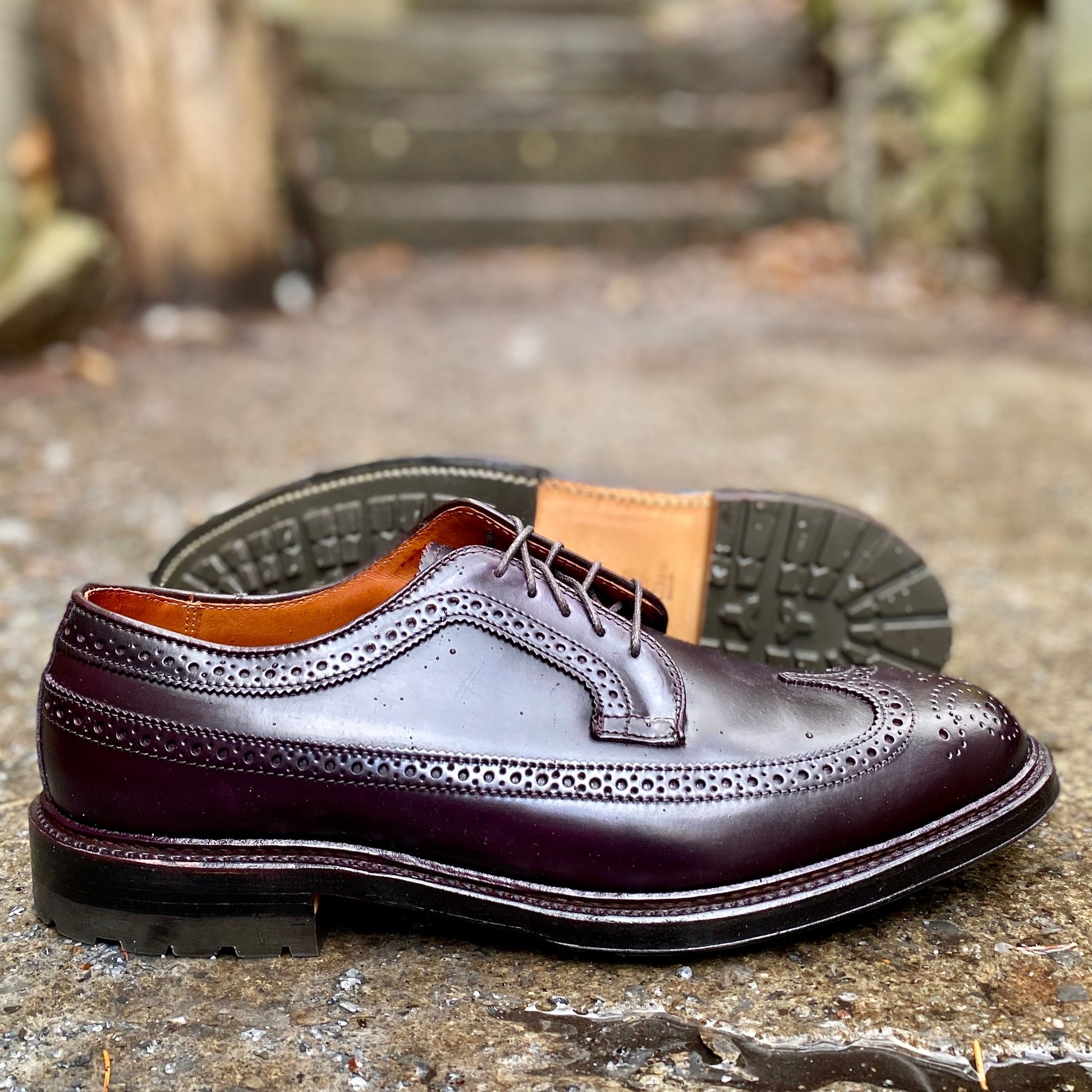Alden Madisons 975C - Long Wing w Commando Sole in Color 8 Shell Cordovan dress shoes, featuring brogue detailing, are displayed outdoors on wet ground—one upright, the other on its side to show the Commando Sole.