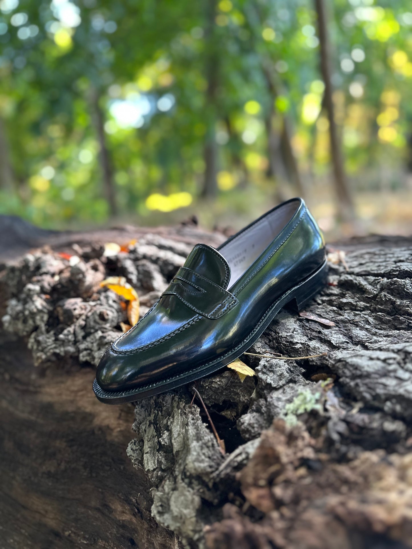 The Alden Madison 67269 High Vamp Loafer in Black Shell Cordovan is showcased on a textured tree trunk outdoors, set against a softly blurred green forest background.