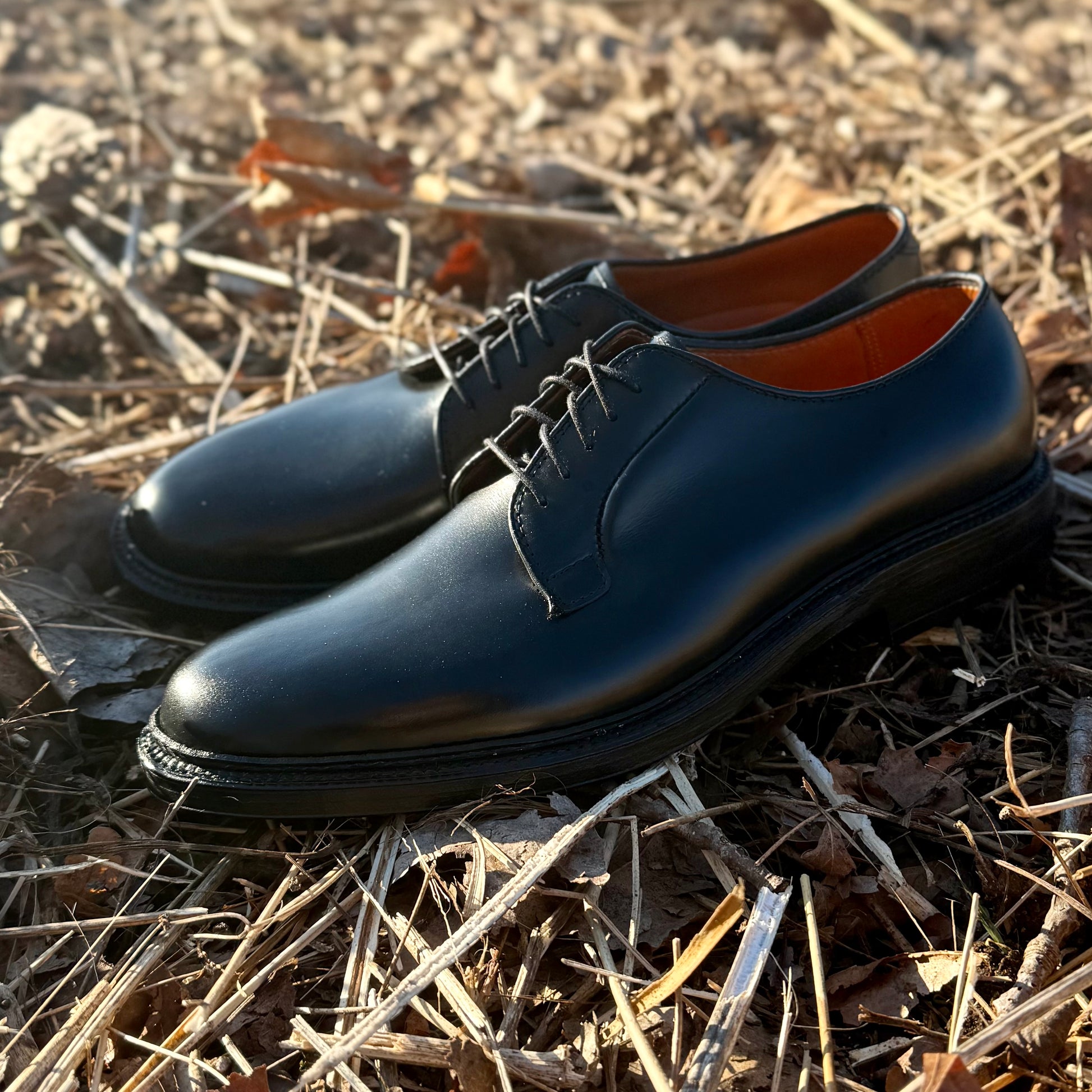 A pair of ALDEN SHOES 9909 - Black Calfskin Plain Toe Blucher dress shoes with laces, set outdoors on dry leaves and twigs in sunlight.