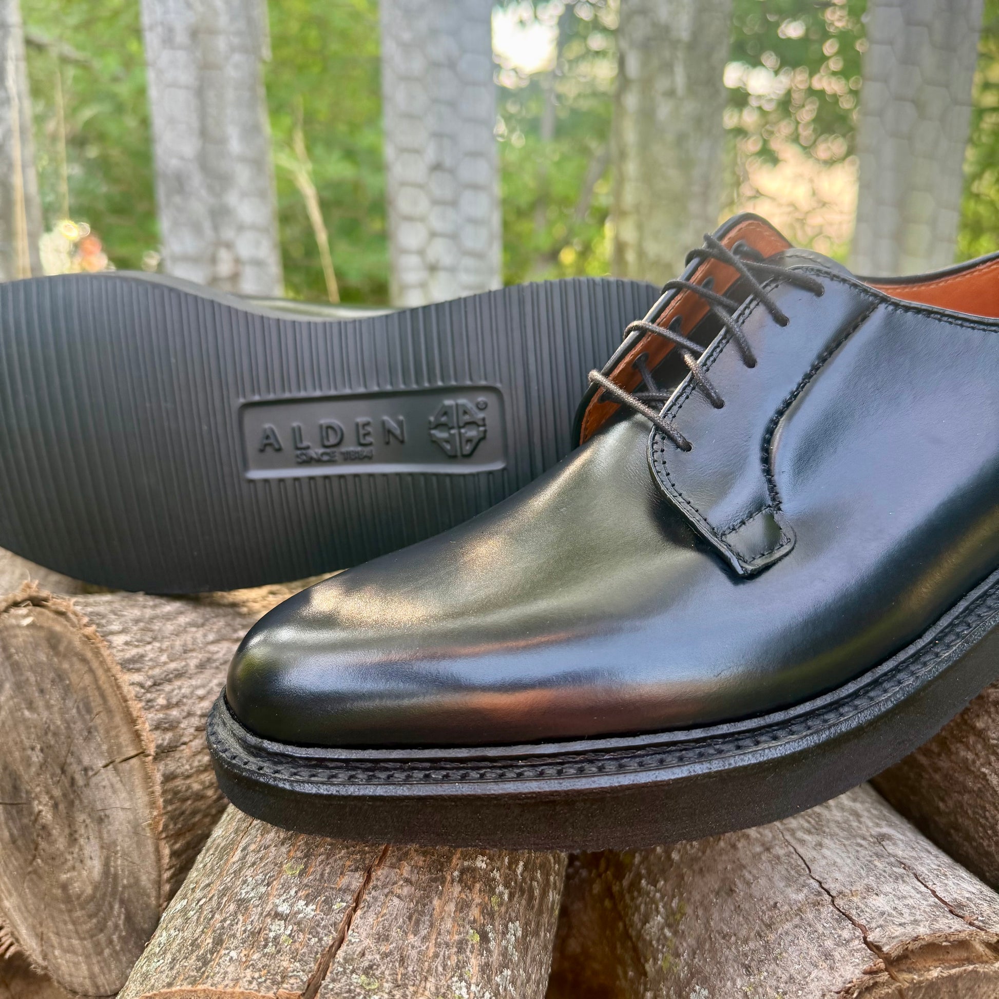 A close-up of shiny black leather ALDEN SHOES N1401 - Black Calf Plain Toe Blucher w Wedge Sole, crafted on the Barrie Last, with one shoe lying on its side to display the brand logo and wedge rubber sole, arranged outdoors on cut logs with green foliage in the background.