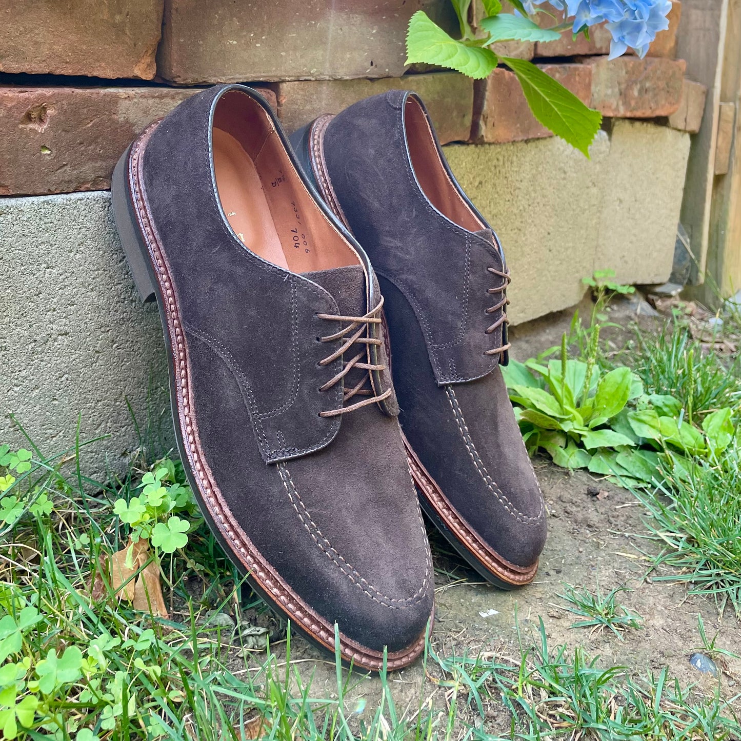A pair of Alden Madison 704 Mocc Toe Bluchers in brown suede with a dress rubber sole rest on the ground near grass and plants, with a brick wall and blue flowers in the background.