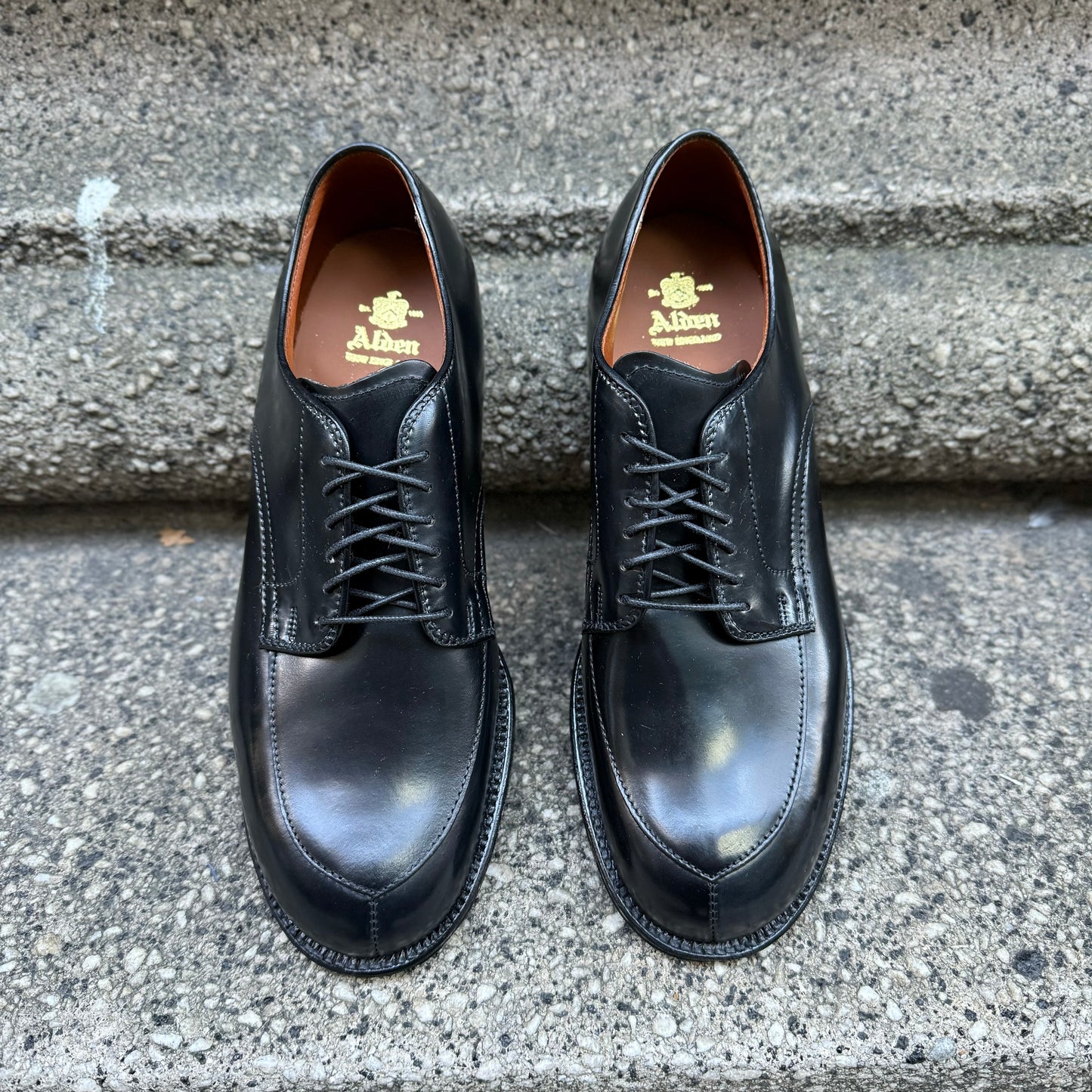 A pair of Alden Madison N6406 Black Shell V-Tip shoes, with laces, sit side by side on a rough gray concrete step, highlighting their classic design and sturdy rubber heel.