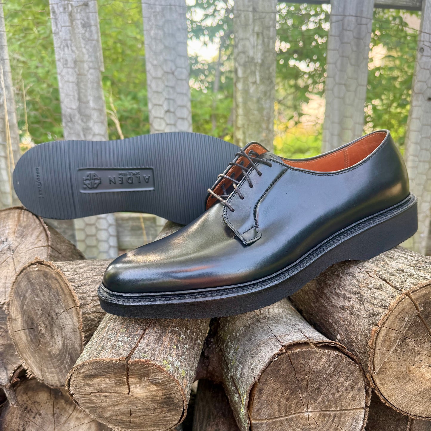 A sleek black leather dress shoe—the ALDEN SHOES N1401 Black Calf Plain Toe Blucher with Wedge Sole—crafted in classic Black Calfskin with black laces, is displayed on cut logs. One shoe stands upright while the other reveals its wedge rubber sole. Set against a wooden fence and lush greenery, the distinguished Barrie Last silhouette is elegantly showcased.