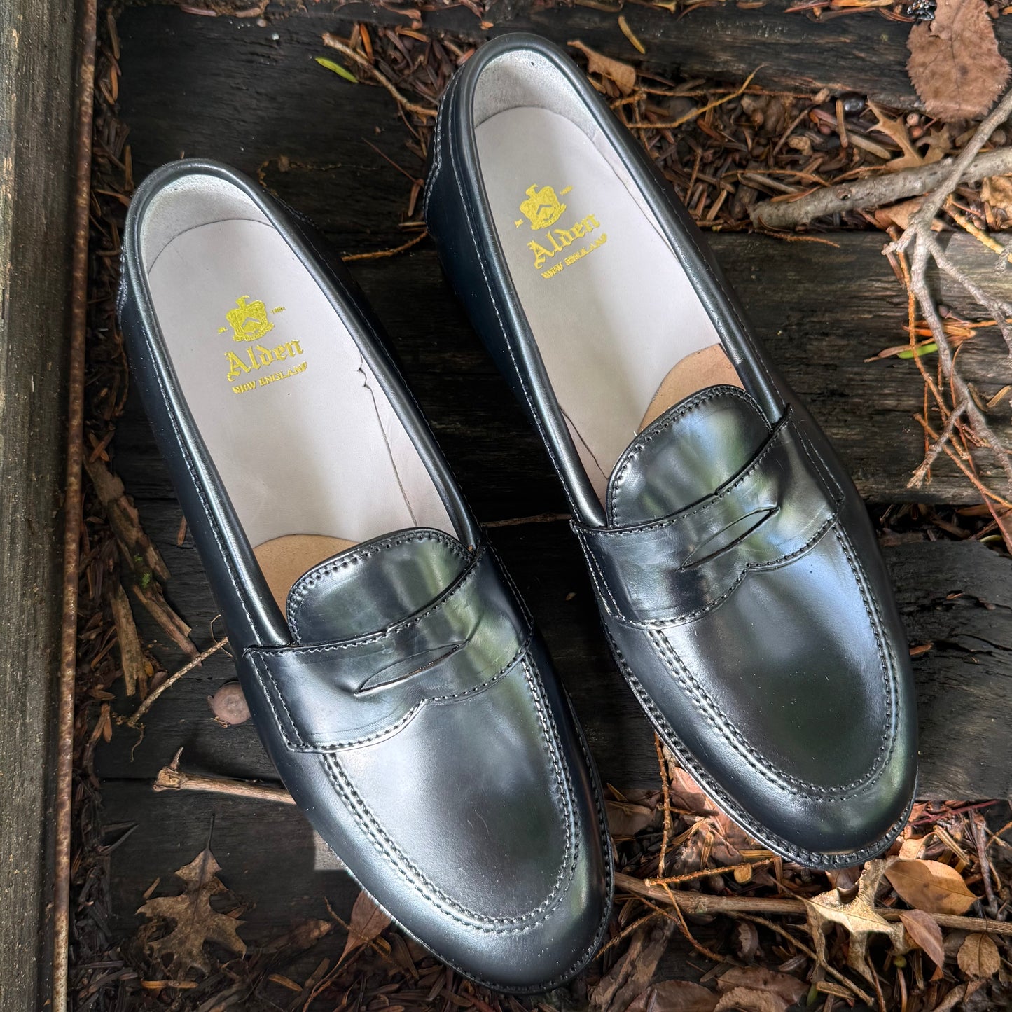 A pair of Alden Madison 96949 Copley Penny Loafers in Black Shell Cordovan, featuring a classic 270 flat welt and durable leather sole, displayed outdoors on a wooden surface amid dry leaves and twigs.