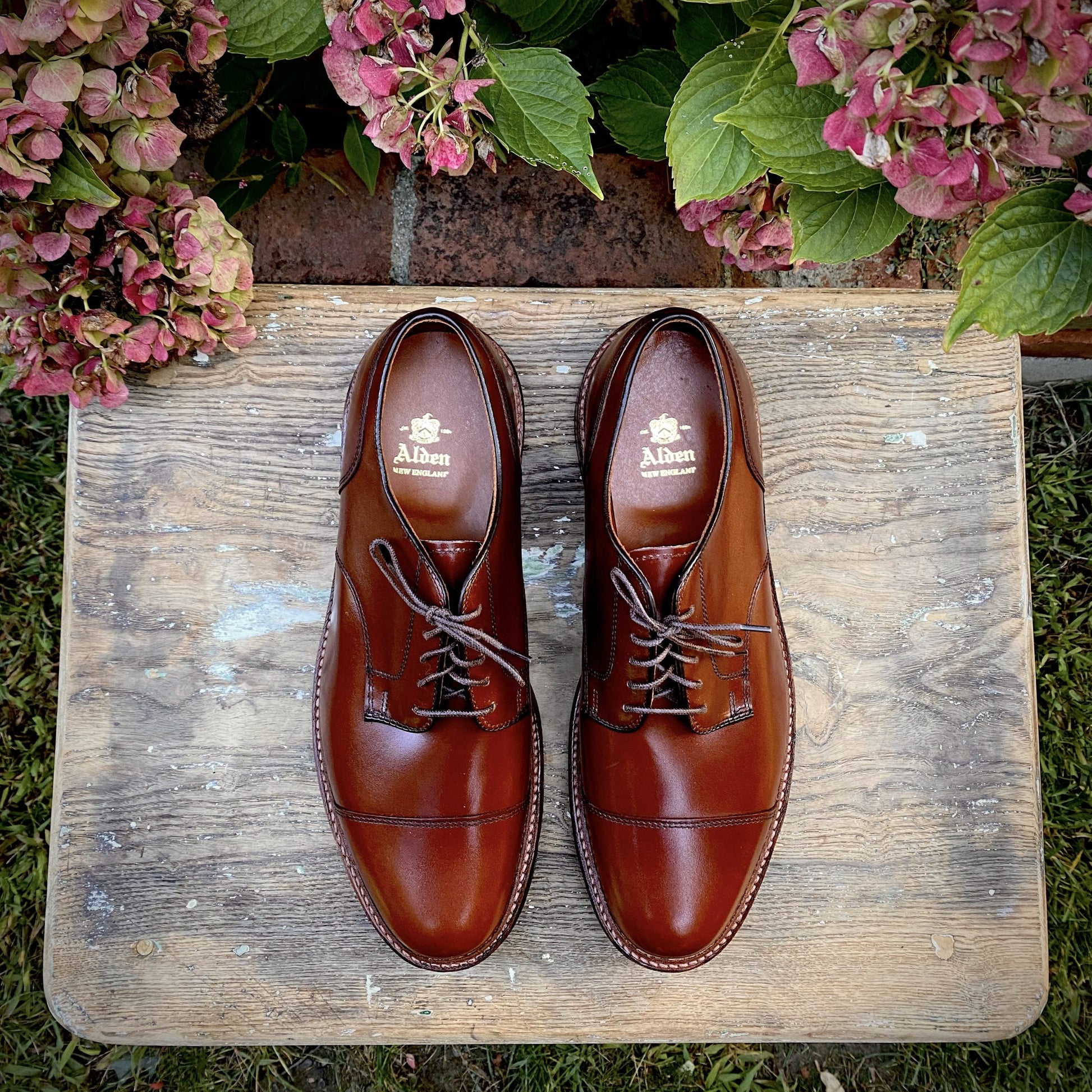 A pair of Alden Madisons D9539C Ten to One DeRosa Bluchers in Madison Brown Calfskin with laces sits on a rustic wooden surface, surrounded by faded pink hydrangea flowers and green leaves, adding a natural touch to the scene.