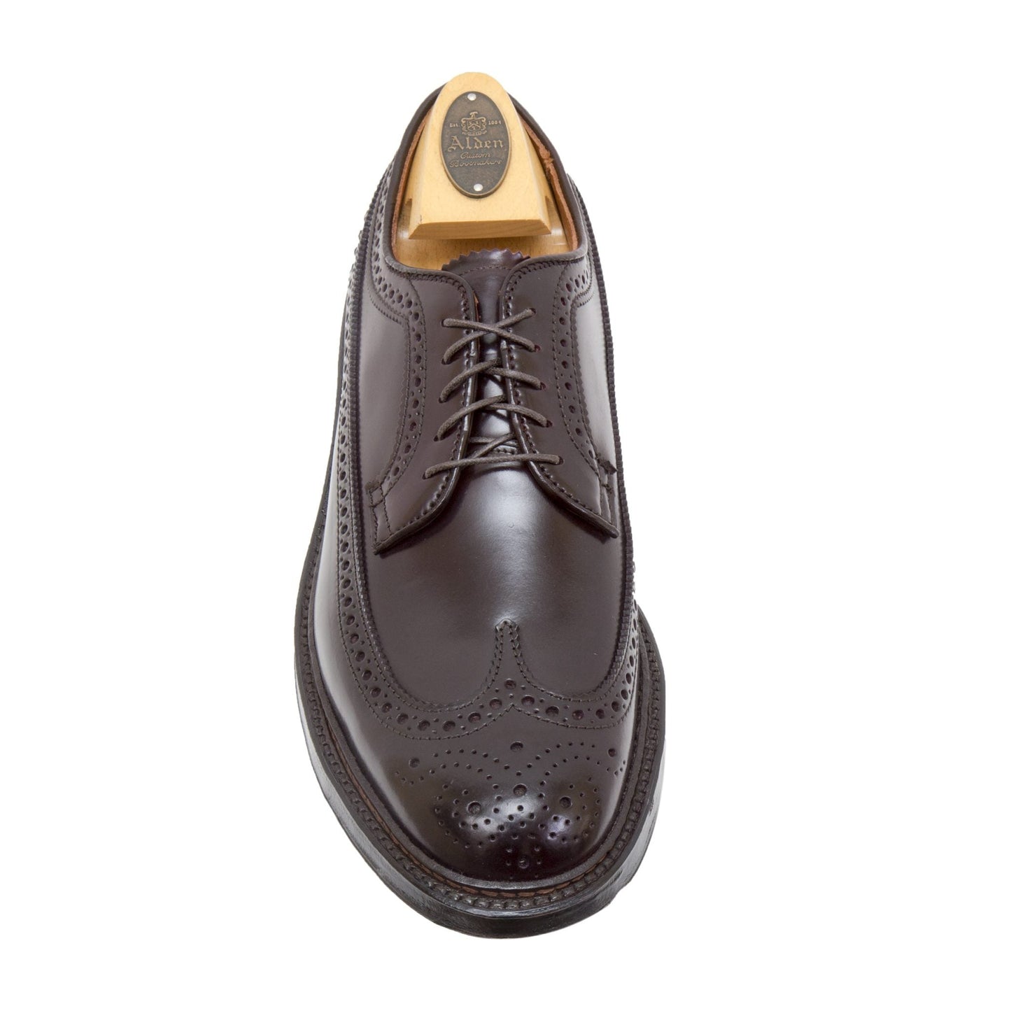 An Alden Madison 975C - Long Wing with Commando Sole in Color 8 Shell Cordovan dress shoe, viewed from above, featuring decorative brogue perforations and a wooden shoe tree inside.