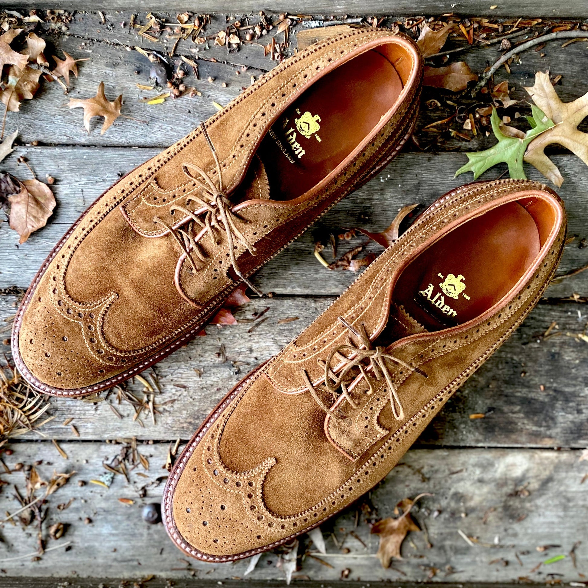 A pair of Alden Madison 9794 Long Wing Blucher in snuff suede, crafted on the Barrie last with a Waterlock leather sole, sits on a wooden surface. Detailed stitching and fallen leaves create an autumnal scene.